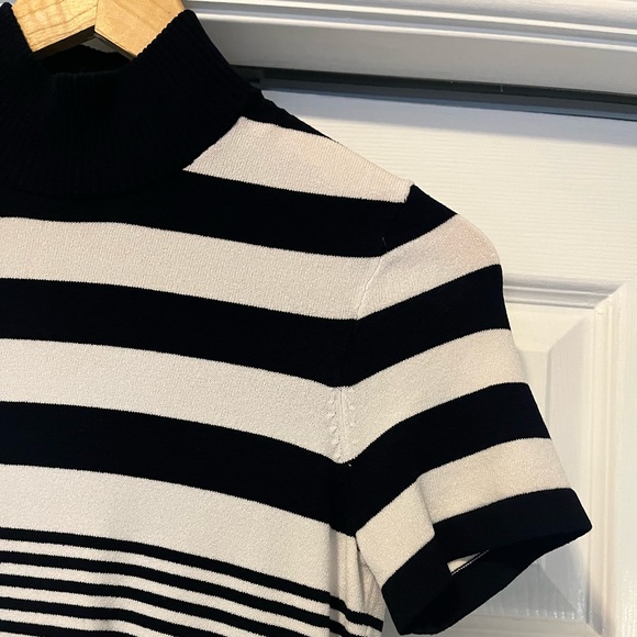 Carlisle Turtleneck Stripe Top - Picture 2 of 7